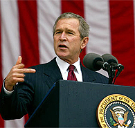 Bush Picture